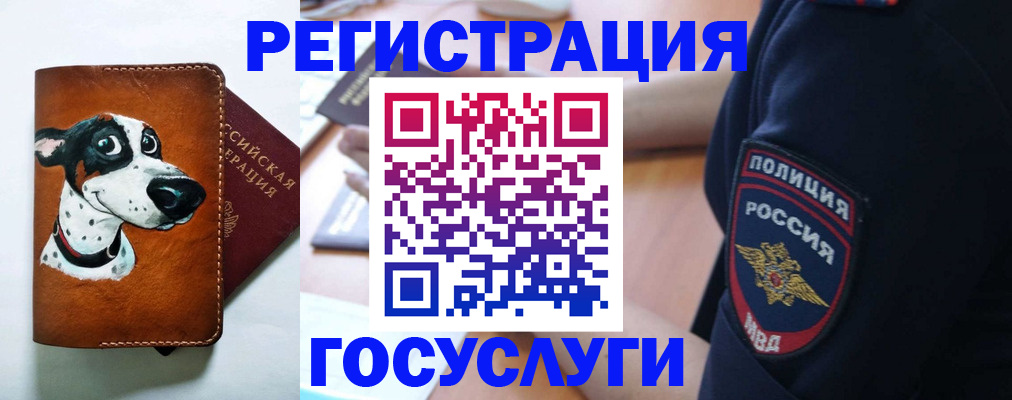 временная регистрация в квартире в Чапаевске